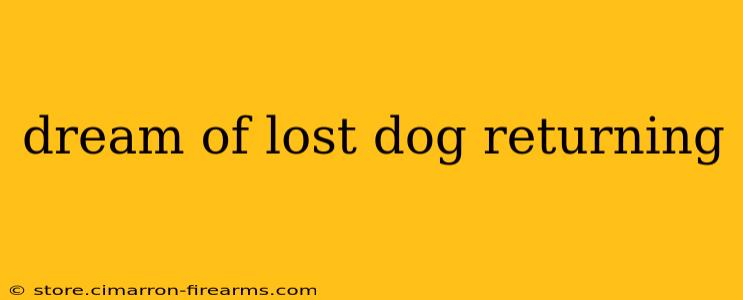 dream of lost dog returning