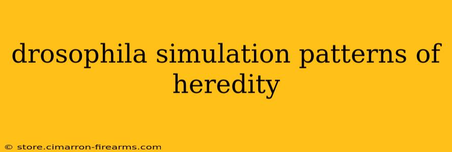 drosophila simulation patterns of heredity