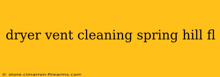 dryer vent cleaning spring hill fl