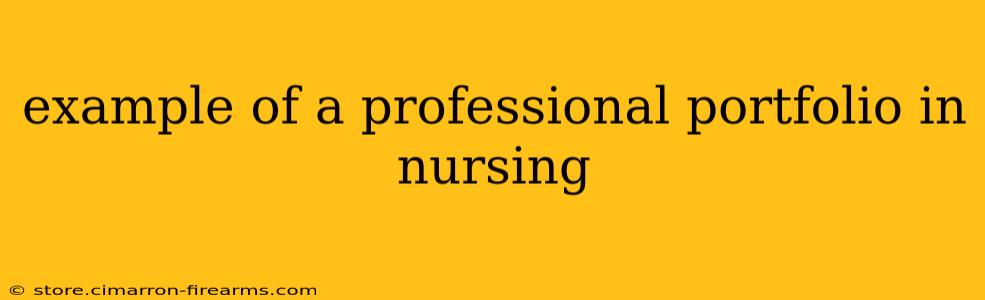 example of a professional portfolio in nursing