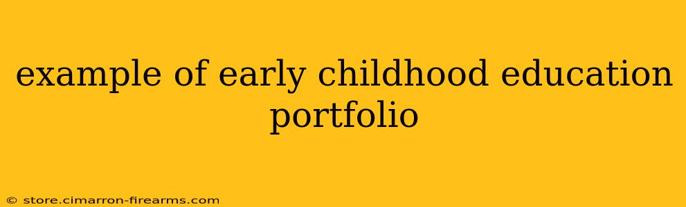 example of early childhood education portfolio