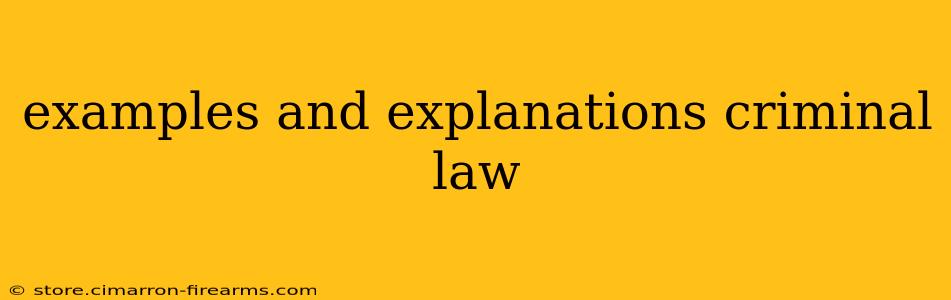 examples and explanations criminal law