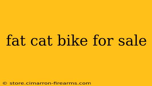 fat cat bike for sale