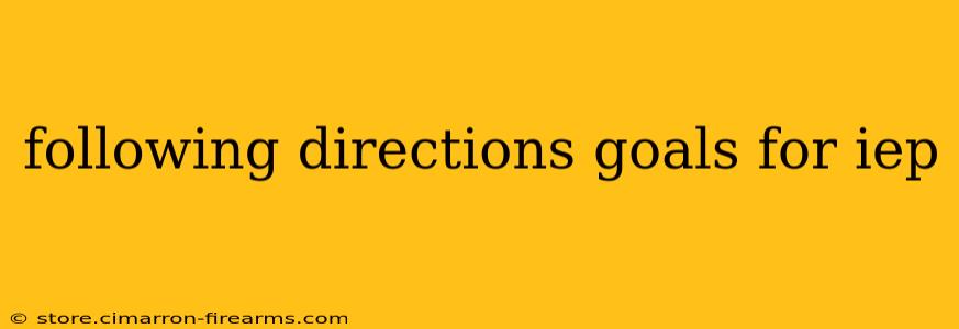 following directions goals for iep