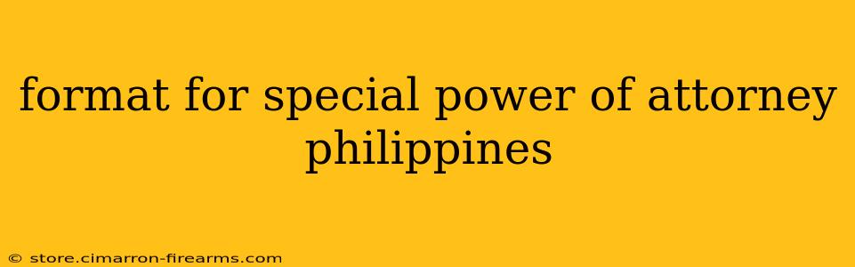 format for special power of attorney philippines