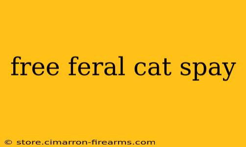 free feral cat spay