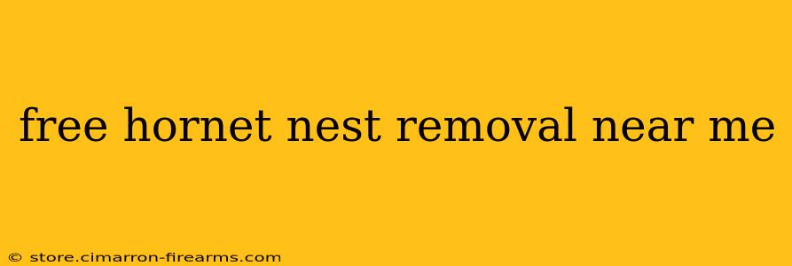 free hornet nest removal near me