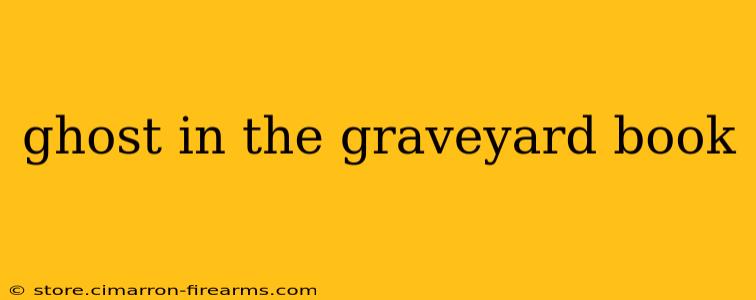 ghost in the graveyard book