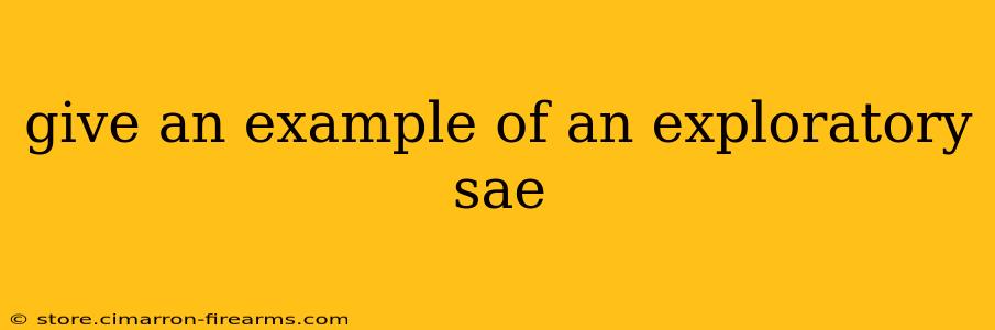 give an example of an exploratory sae