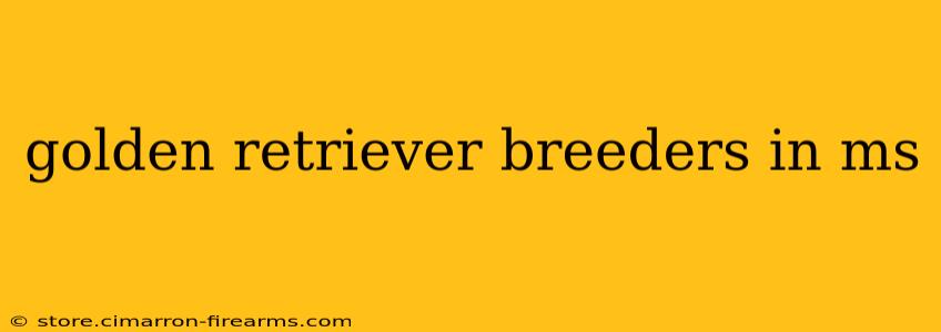 golden retriever breeders in ms