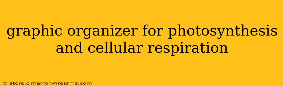 graphic organizer for photosynthesis and cellular respiration