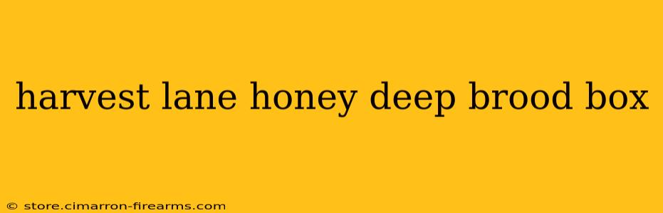 harvest lane honey deep brood box