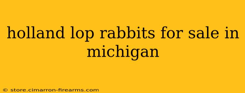 holland lop rabbits for sale in michigan