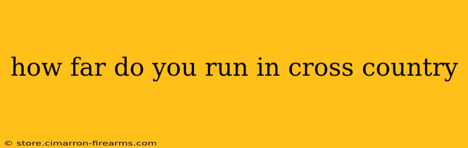 how far do you run in cross country