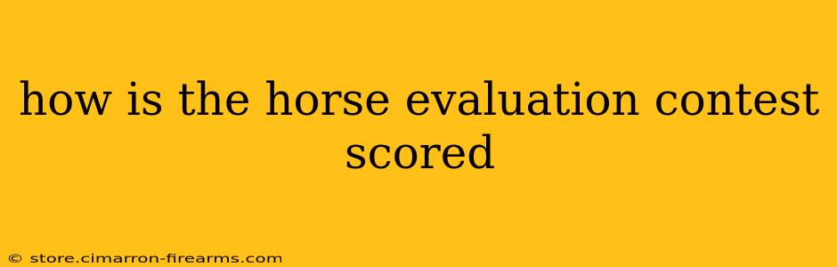 how is the horse evaluation contest scored