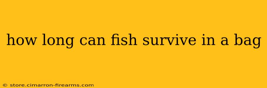 how long can fish survive in a bag