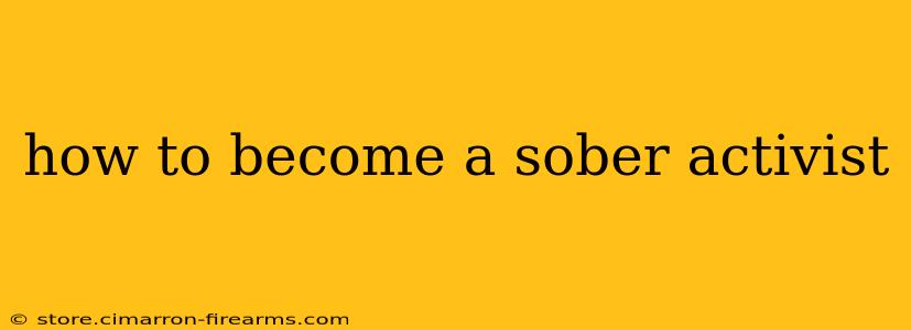 how to become a sober activist