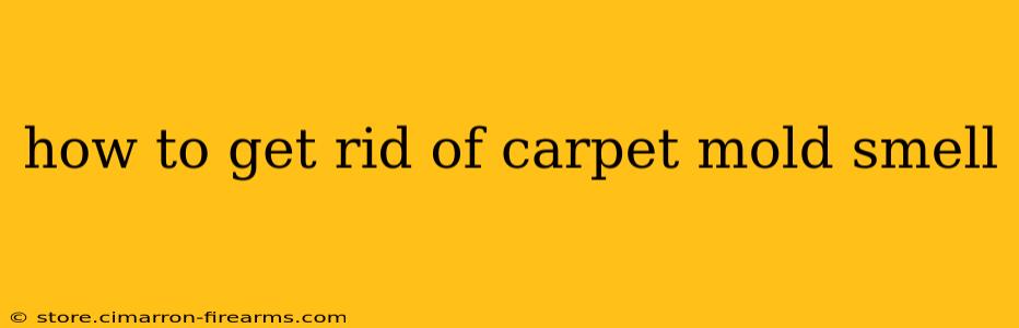 how to get rid of carpet mold smell