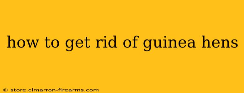 how to get rid of guinea hens