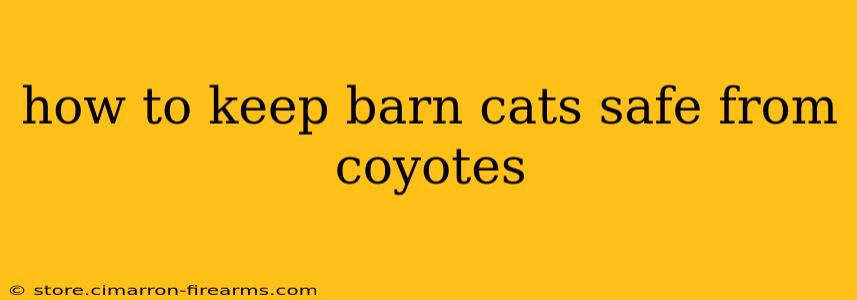 how to keep barn cats safe from coyotes