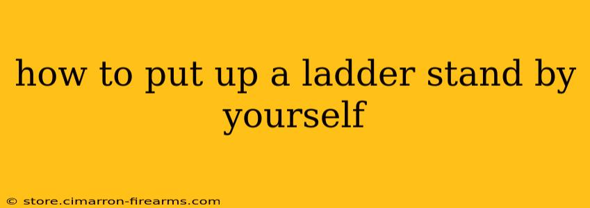 how to put up a ladder stand by yourself