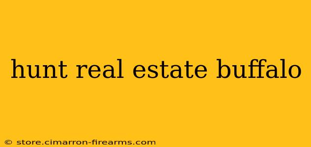 hunt real estate buffalo