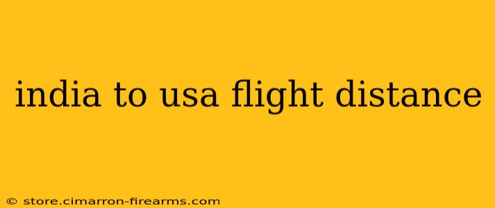 india to usa flight distance