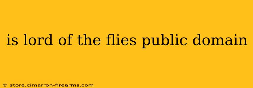 is lord of the flies public domain