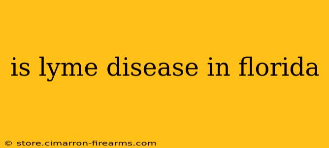 is lyme disease in florida