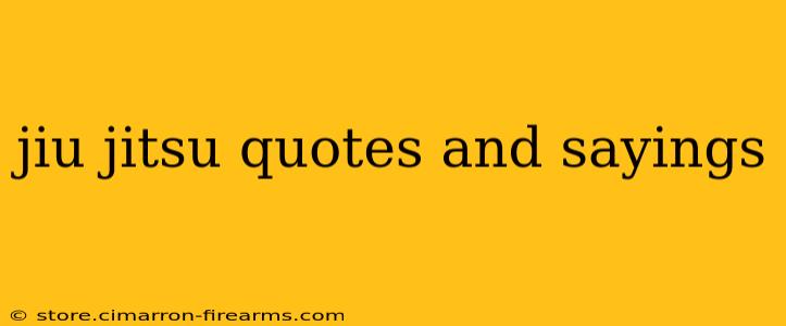 jiu jitsu quotes and sayings