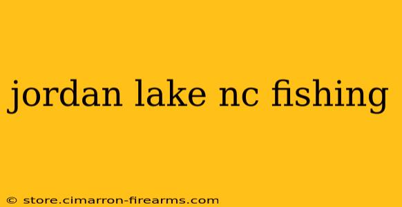 jordan lake nc fishing