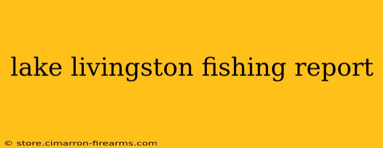 lake livingston fishing report