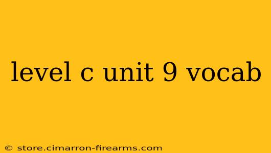 level c unit 9 vocab