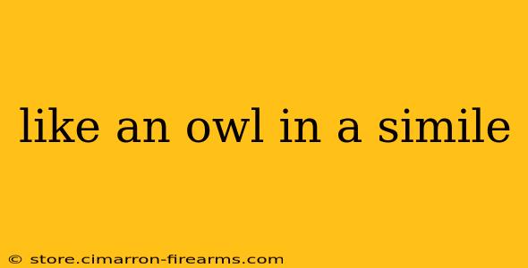 like an owl in a simile