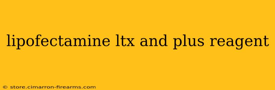 lipofectamine ltx and plus reagent