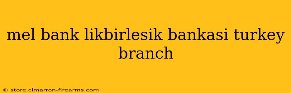 mel bank likbirlesik bankasi turkey branch