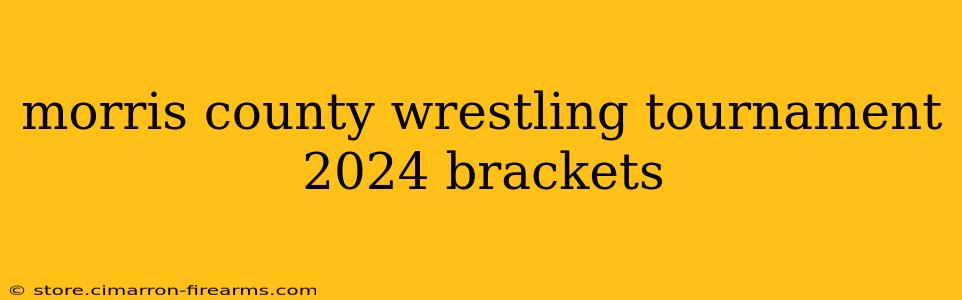 morris county wrestling tournament 2024 brackets