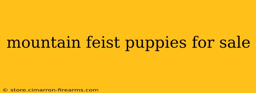 mountain feist puppies for sale