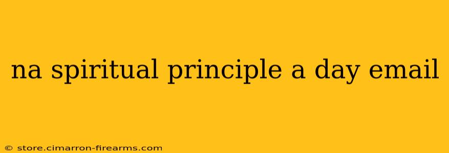 na spiritual principle a day email