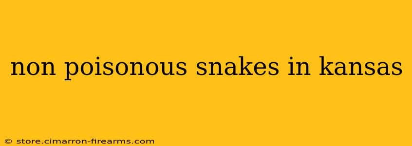 non poisonous snakes in kansas