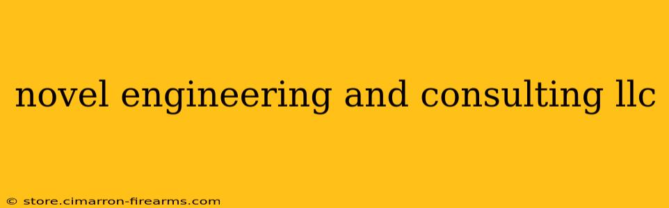 novel engineering and consulting llc