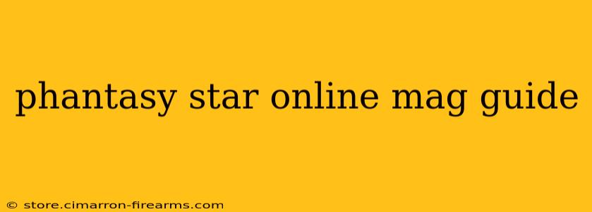 phantasy star online mag guide