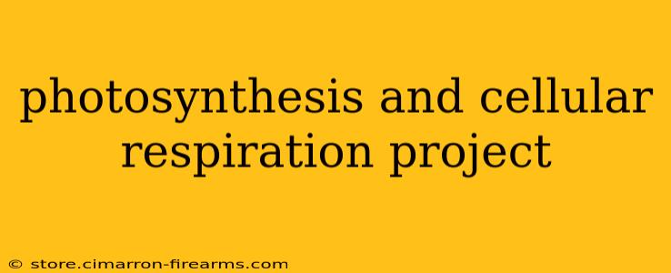 photosynthesis and cellular respiration project