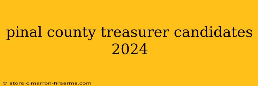 pinal county treasurer candidates 2024