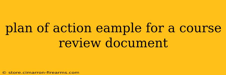 plan of action eample for a course review document