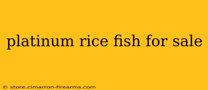 platinum rice fish for sale