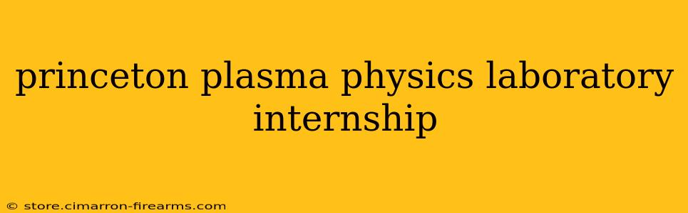 princeton plasma physics laboratory internship