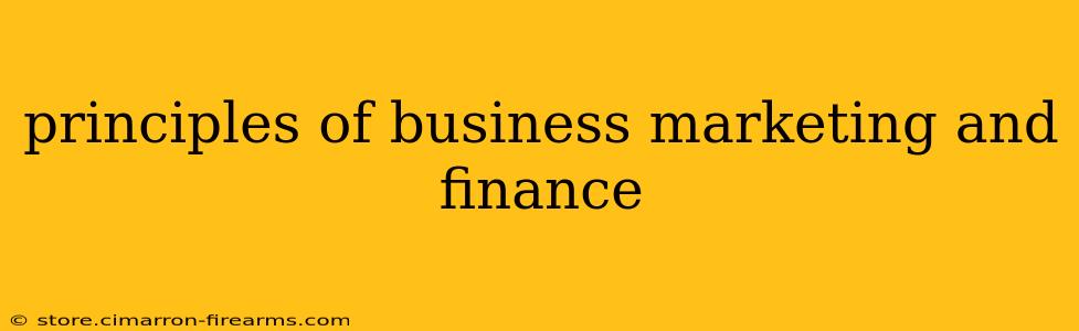 principles of business marketing and finance