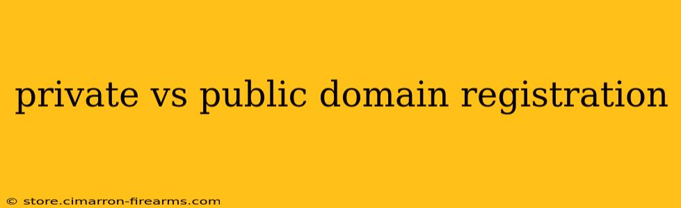 private vs public domain registration