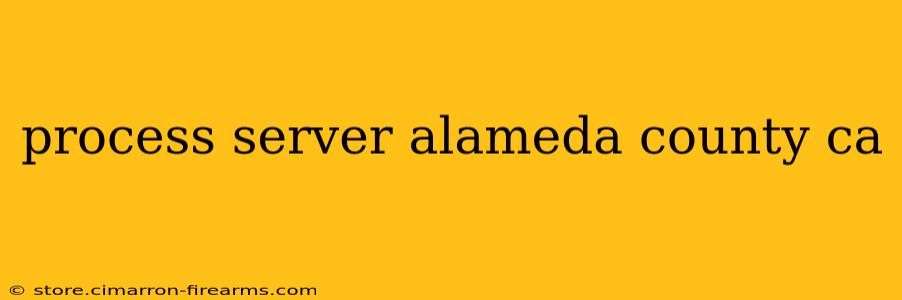 process server alameda county ca